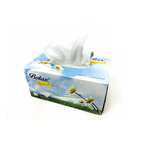 Facial Belux® Tissue Box 2Ply (50 Boxes x 200 Sheets)